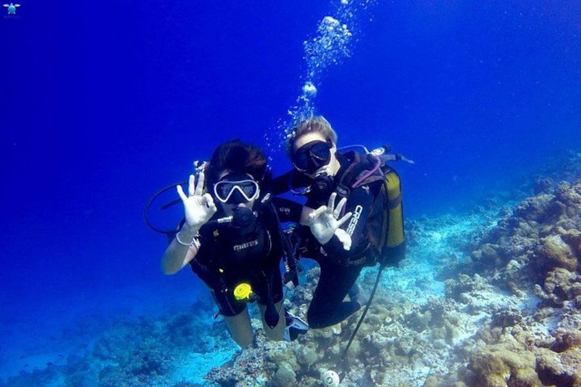 Two scuba divers underwater with coral formations. 2