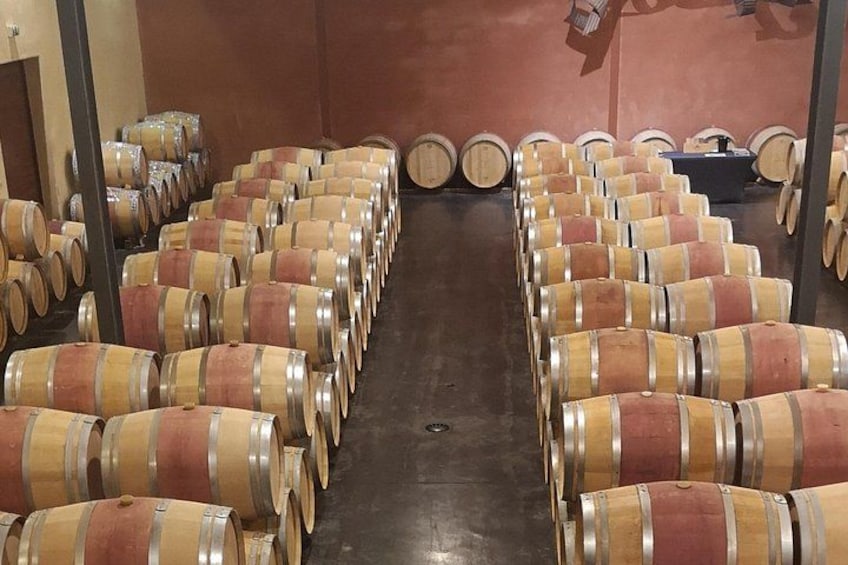 Médoc Wine Tour Vert Bordeaux 2