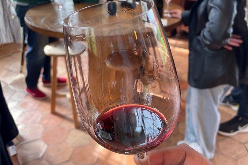 Médoc Wine Tour Vert Bordeaux 3