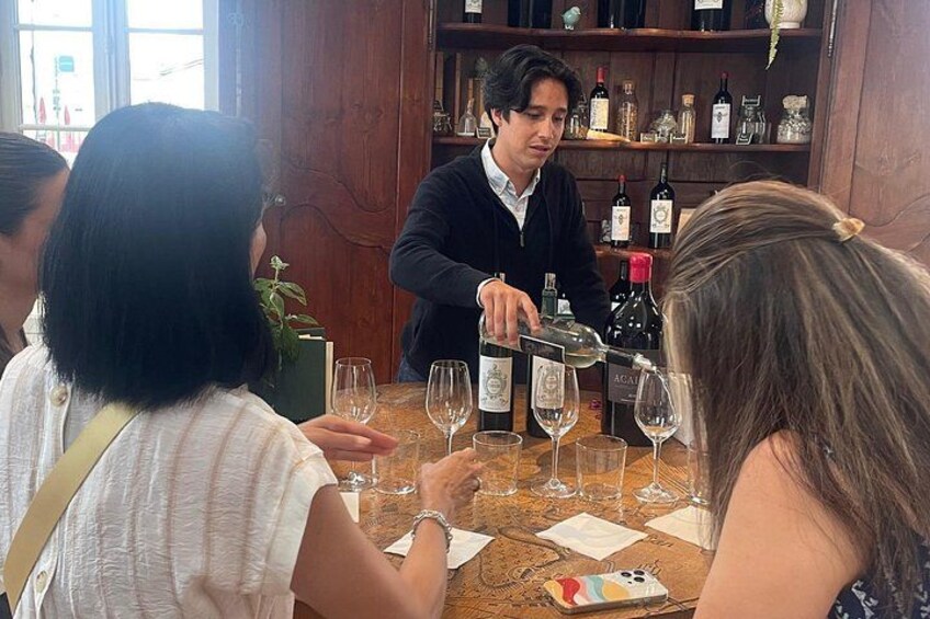 Médoc Wine Tour Vert Bordeaux 4