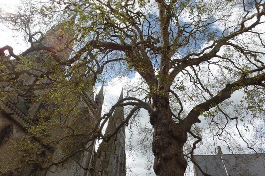 Full Day Private Tour of Bayeux, Gold Beach & Atlantic Wall