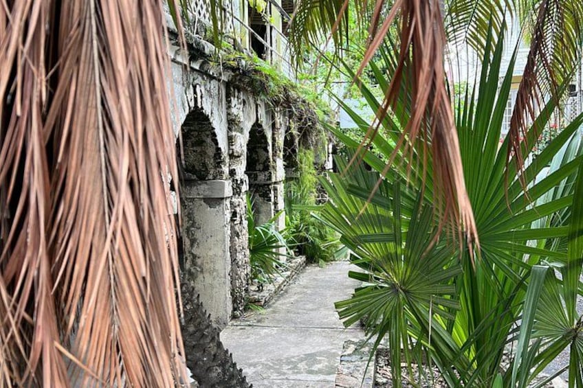 A pathway flanked by palm trees and an old stone building with arches. 3