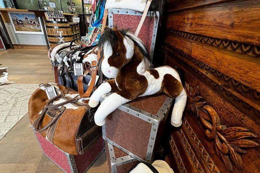 Fort Worth Highlights, Billy Bob’s & John Wayne Day Tour 3