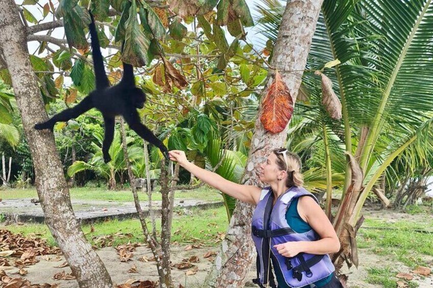 Tour to the Caribbean Coast: 3 Islands: Grande, Mamey and Monkey plus "Love Tunnel", Including Historic Portobelo Fort 