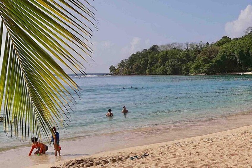A beach with people swimming and playing in the water, palm trees, and a forested island in the background. 3