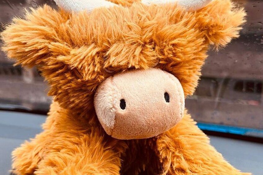 En blød bamse med brune og hvide farver, et rundt hoved og et smilende ansigt. 5
