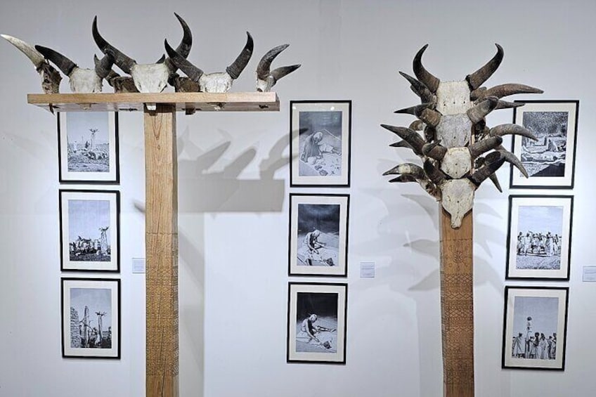 Two wooden stands with animal skulls and framed black-and-white photographs on the wall. 2
