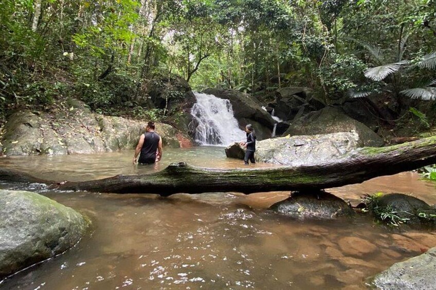 Une cascade située dans une zone boisée, avec une personne debout près de l’eau. 5