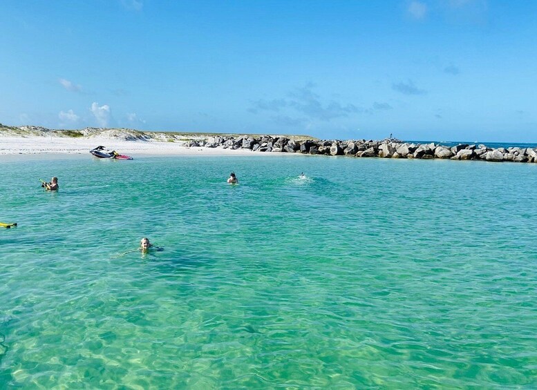 Destin 2 Stop Snorkeling and Dolphin Watching Cruise