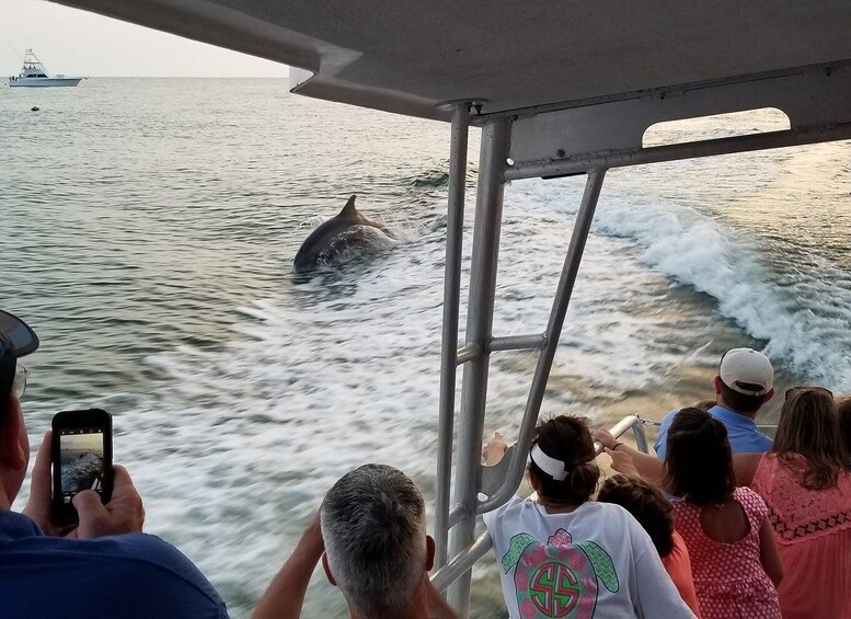 Destin 2 Stop Snorkeling and Dolphin Watching Cruise