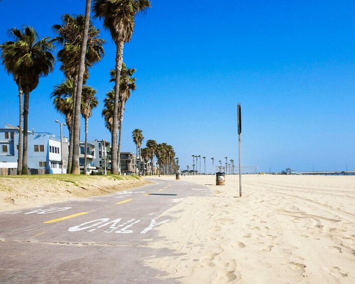 Una playa con palmeras, una carretera señalizada con 'ONLY' y edificios al fondo. 5