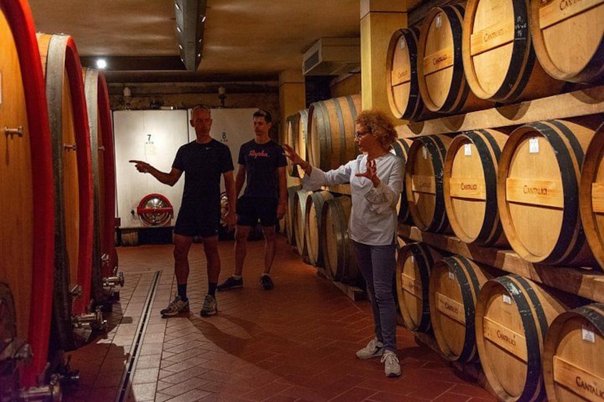 Una persona señalando barriles de vino en una bodega. 1