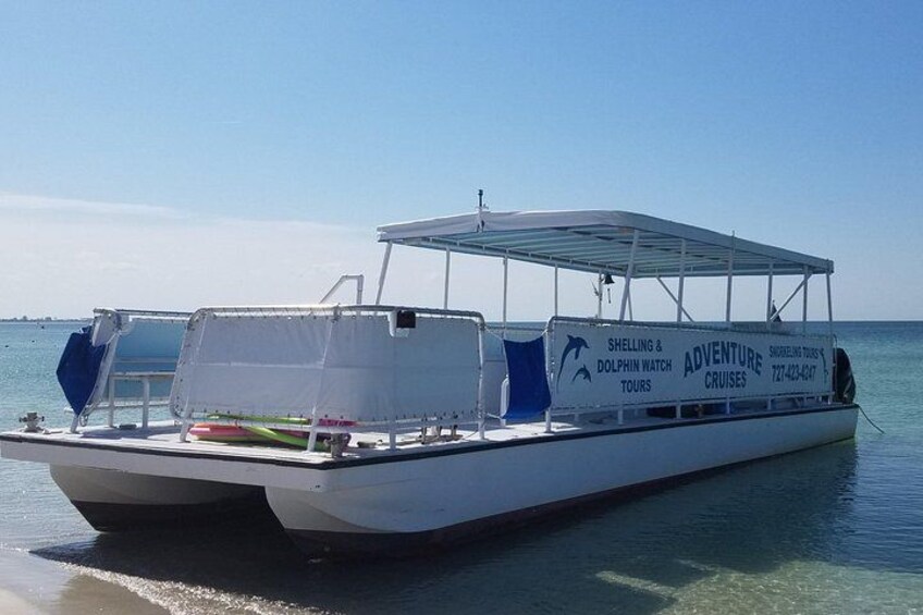 Dolphin /Shelling/Snorkeling tours Private Charters 3