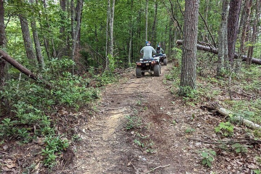 East Tennessee Off Road ATV Guided Experience 2