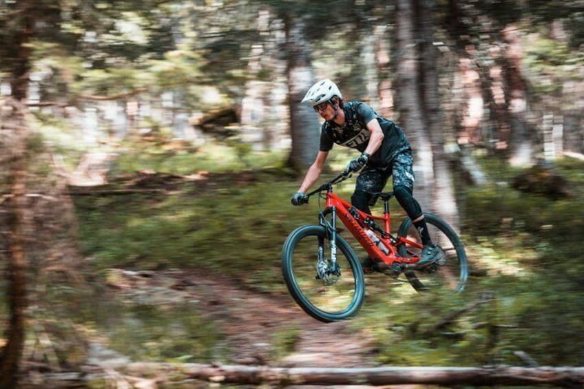 Una persona montando en bicicleta de montaña por un bosque. 2