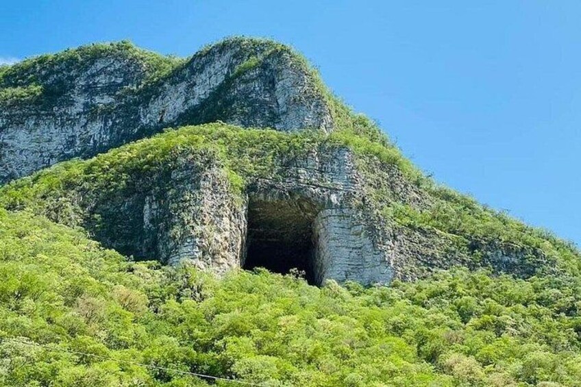 A natural rock formation with a cave entrance surrounded by dense green vegetation. 5