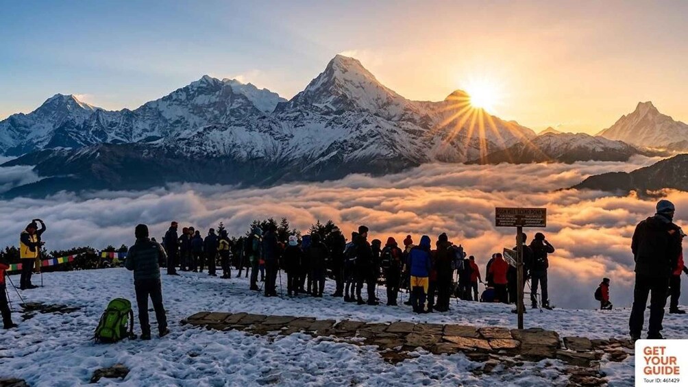 Picture 28 for Activity Pokhara: 3-Day Ghorephani and Poon Hill Private Trek 4