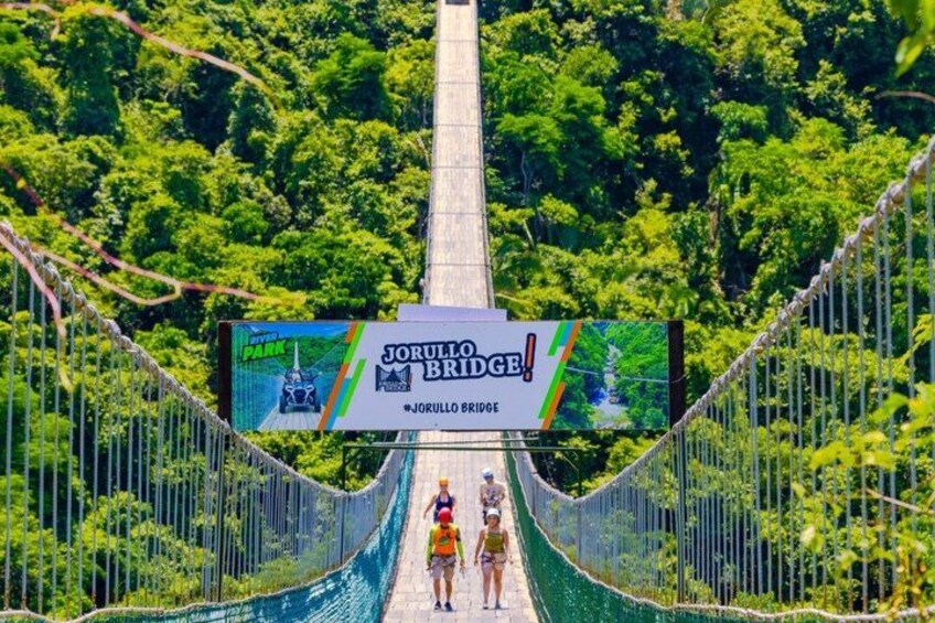 Ziplines for cruise passengers + Jorullo Bridge 5