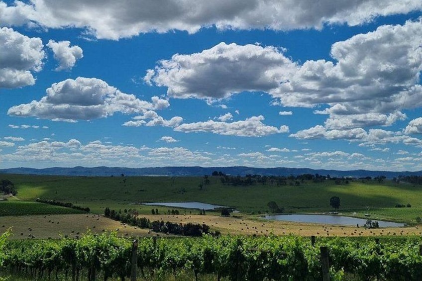 Experience Yarra Valley: A Tailored private Wine Journey 5