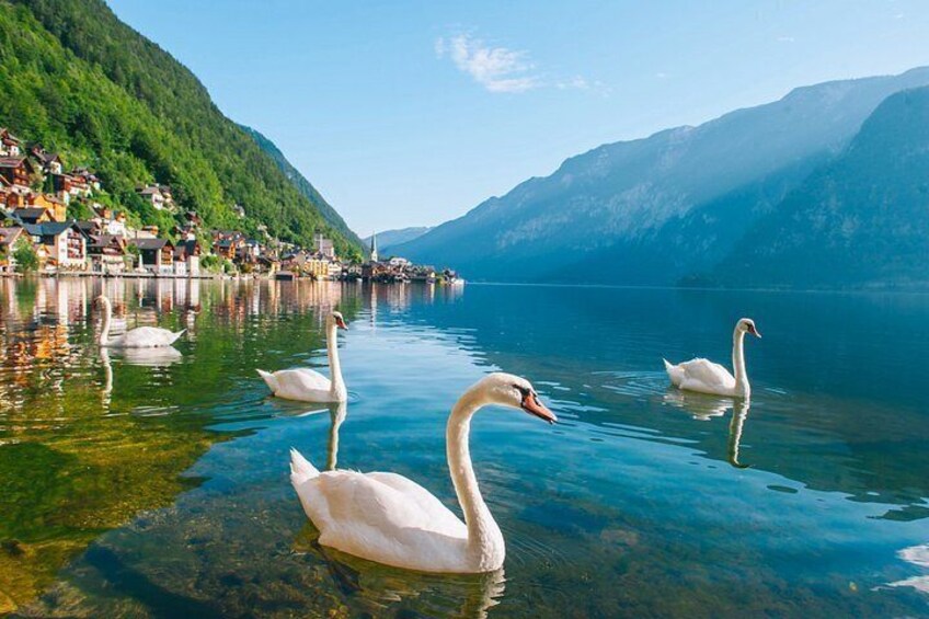 From Vienna to Hallstatt, Salzburg, Alps and Lakes Day Trip 4