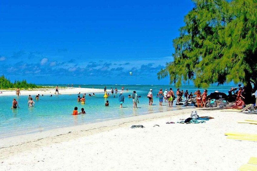 Une plage où l’on voit des gens nager et bronzer, une eau d’un bleu limpide et un arbre sur la droite. 3