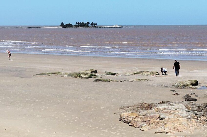 Full Day Private Tour of Montevideo 3