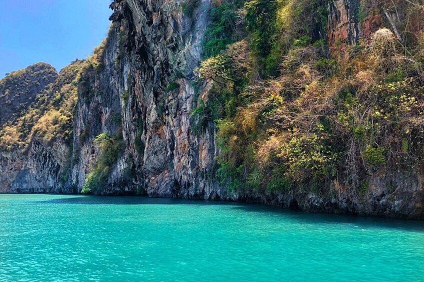 A coastal landscape with a clear turquoise sea, rocky cliffs, and dense vegetation. 2
