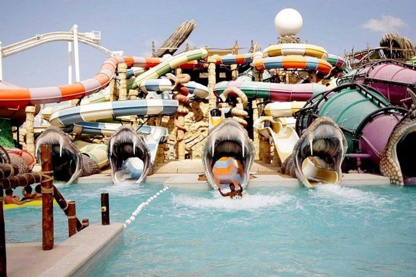 Yas Island Tour with 2 Park Admission Tickets 2