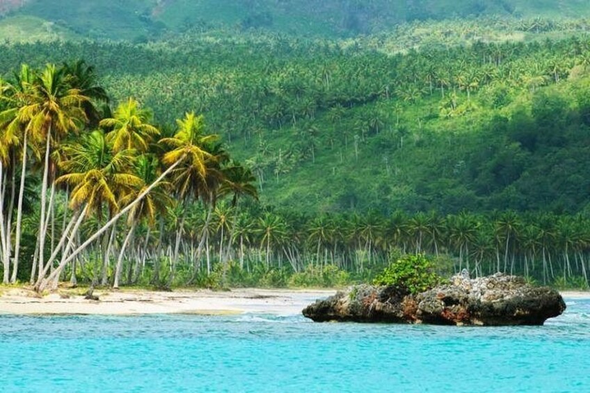 Samana Full Day Waterfall, Safari and Beach 5