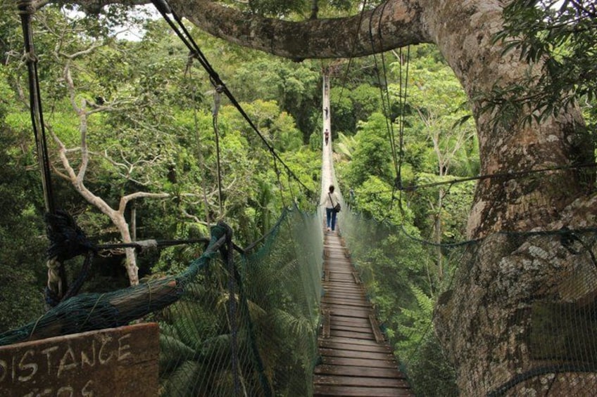 4 Day Tambopata Jungle Tour with Local Guide 5