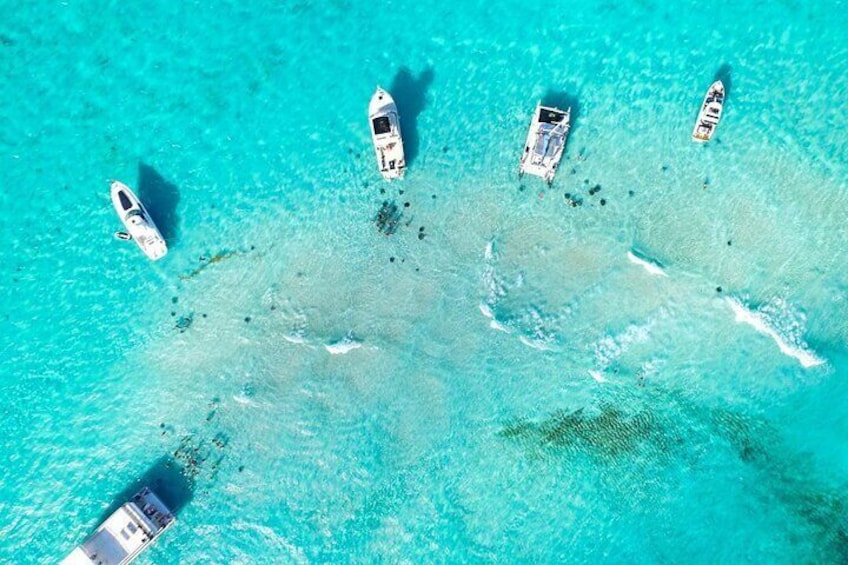 Stingray City and Reef Snorkeling Adventure on Grand Cayman