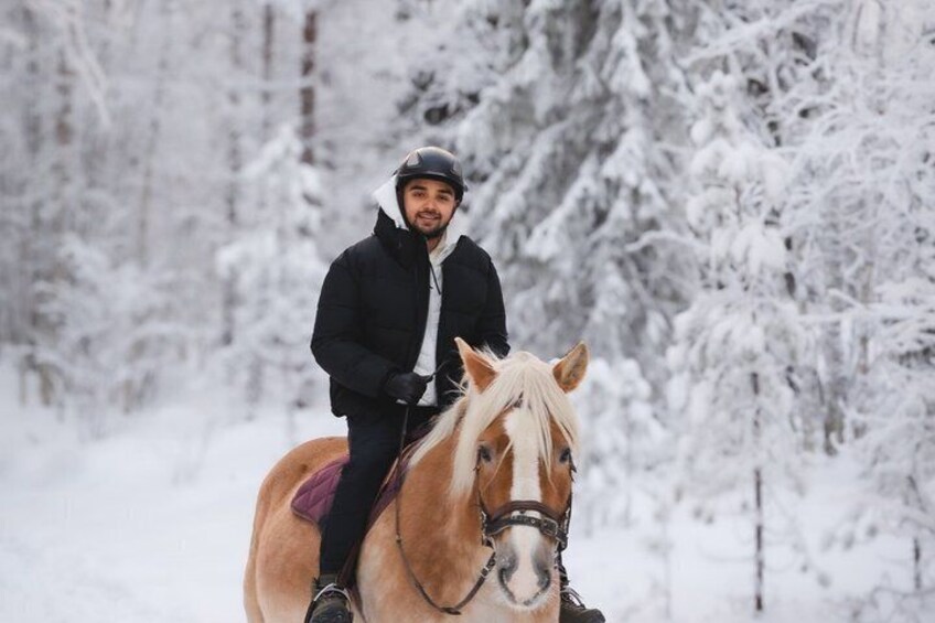 Riding Tour with Finnhorses at Santa Claus Village 1