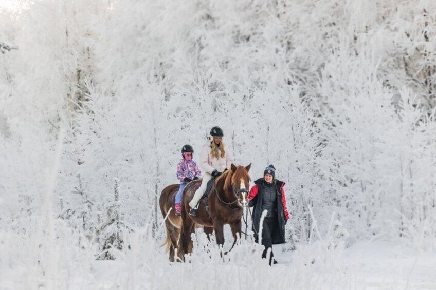 Riding Tour with Finnhorses at Santa Claus Village 2