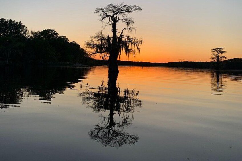 Riflesso di un albero solitario in acque calme al tramonto. 3
