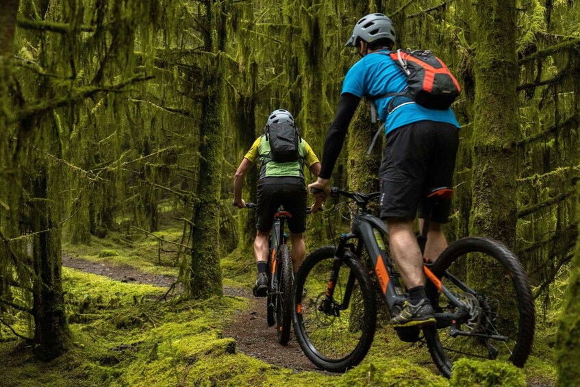 Picture 4 for Activity From Belfast: Ebiking through Forest & Mountains 4