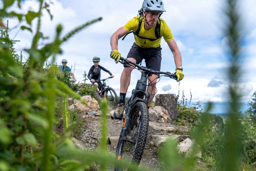 Picture 1 for Activity From Belfast: Ebiking through Forest & Mountains 2
