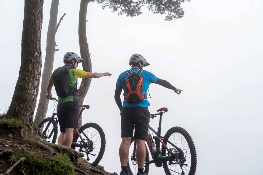 Picture 3 for Activity From Belfast: Ebiking through Forest & Mountains 3
