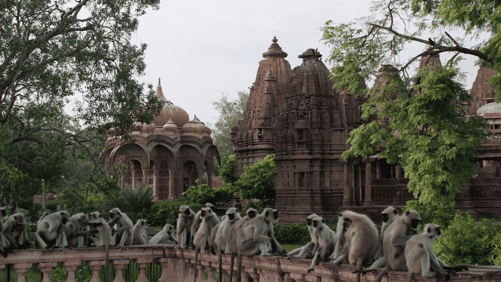 Un temple à l’architecture complexe, et un groupe de singes sur un pont. 4