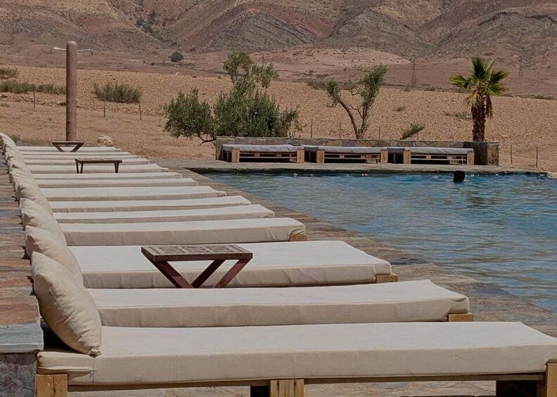 Picture 2 for Activity Marrakech: Agafay Camel Ride, Pool & Lunch or Dinner Show 1
