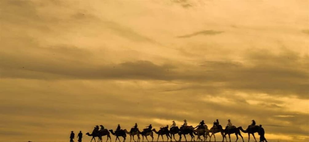 Picture 1 for Activity Marrakech: Agafay Camel Ride, Pool & Lunch or Dinner Show 4