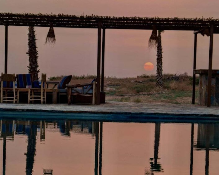 Marrakech: Agafay Camel Ride, Pool & Lunch or Dinner Show 5