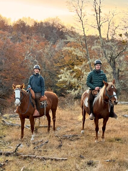 Two people riding horses in a grassy field with trees in the background. 1