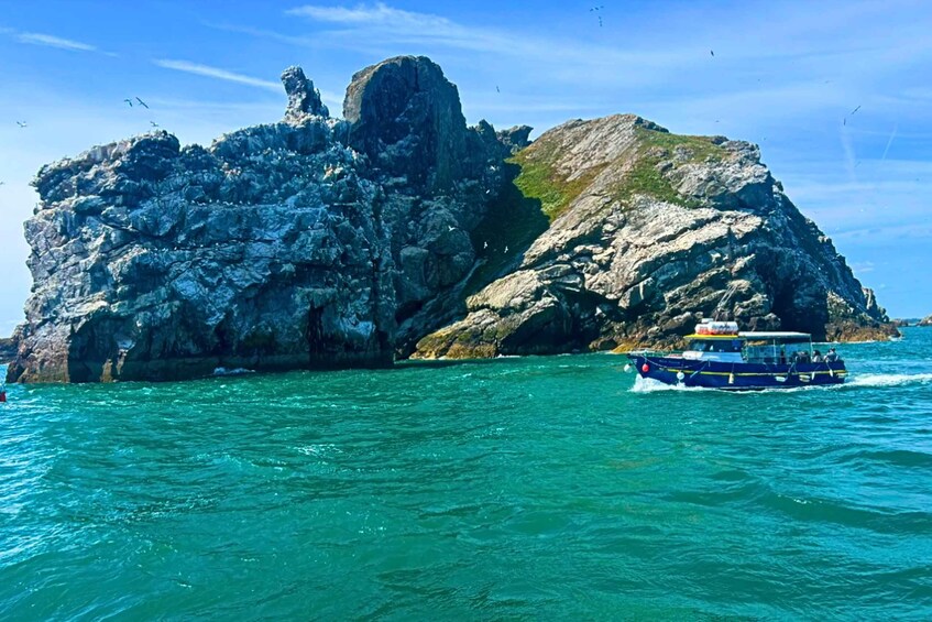 Picture 6 for Activity Dublin: Ireland's Eye and Howth Coast Boat Tour 2