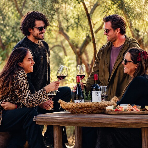 Private Wine Tour Casablanca Valley 2