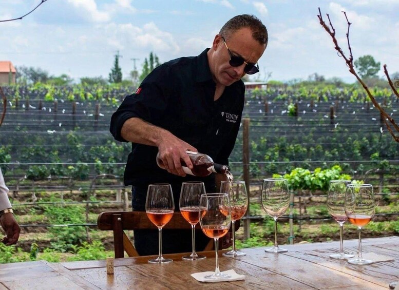 Private Wine Tour Casablanca Valley 1