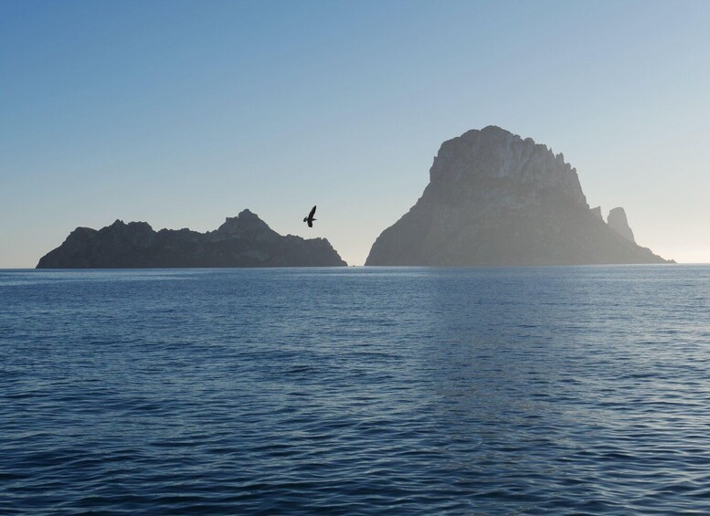 A calm sea with a bird flying over a rocky coastline. 3