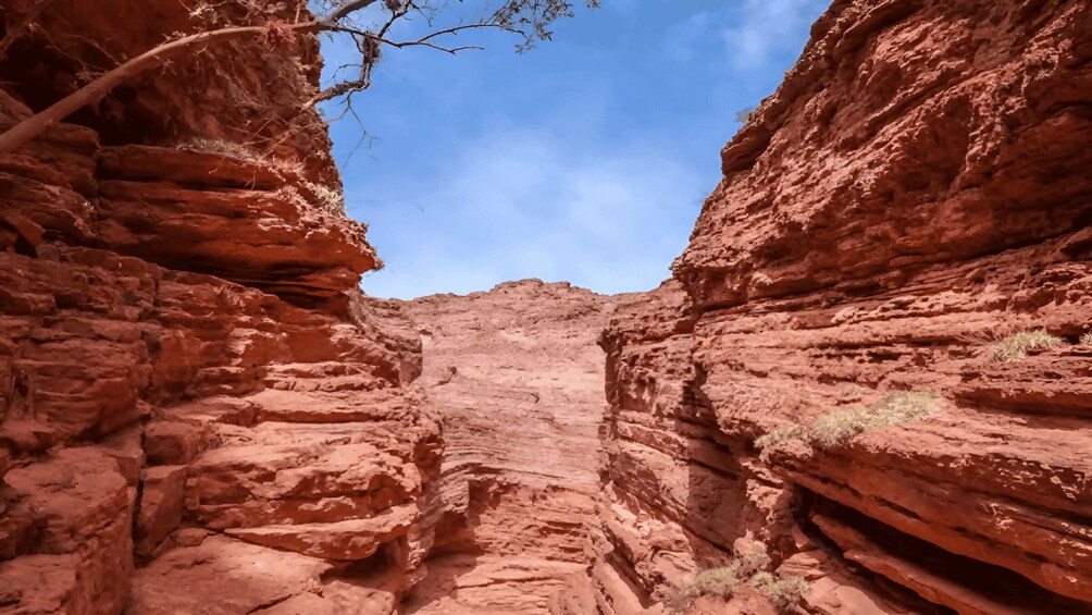 Picture 5 for Activity From Salta:Cafayate and the imposing Quebrada de las Conchas 2