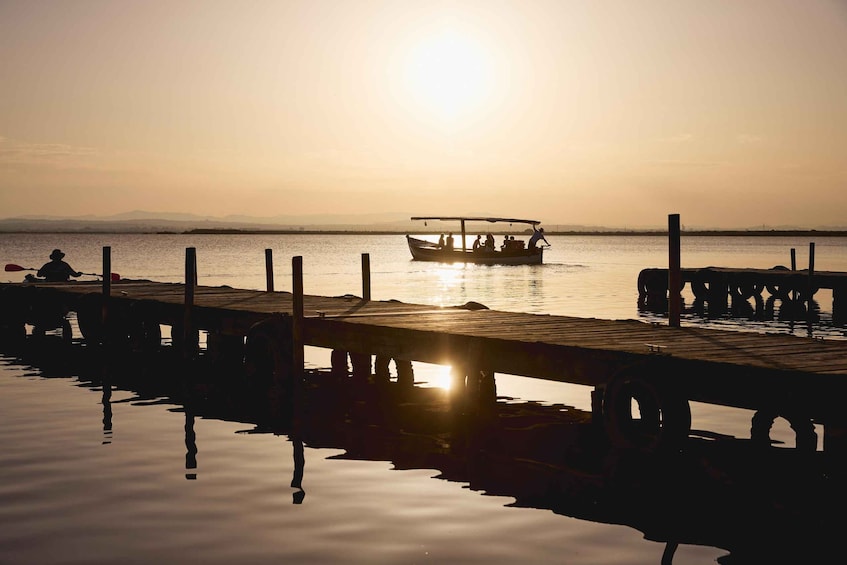 Picture 10 for Activity Valencia: Albufera Natural Park Tour with Boat Ride & Sunset 4