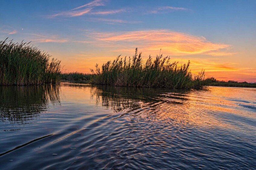 Picture 2 for Activity Valencia: Albufera Guided Tour with Boat Ride, Drink&Sunset 4