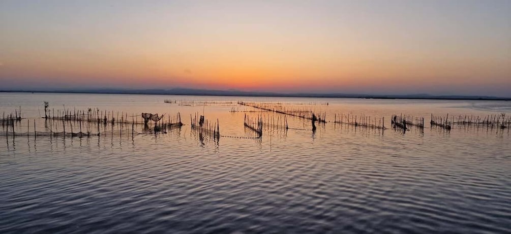 Picture 2 for Activity Valencia: Albufera Natural Park Tour with Boat Ride & Sunset 5